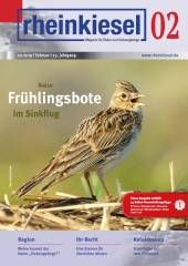 rheinkiesel rheinkiesel