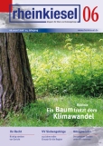 rheinkiesel 06/2020